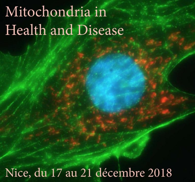 Illustration of a mitochondrion for the Conference on Mitochondria in Health and Disease in Nice