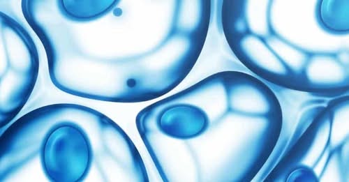 Immense hope in the fight against rare genetic diseases!