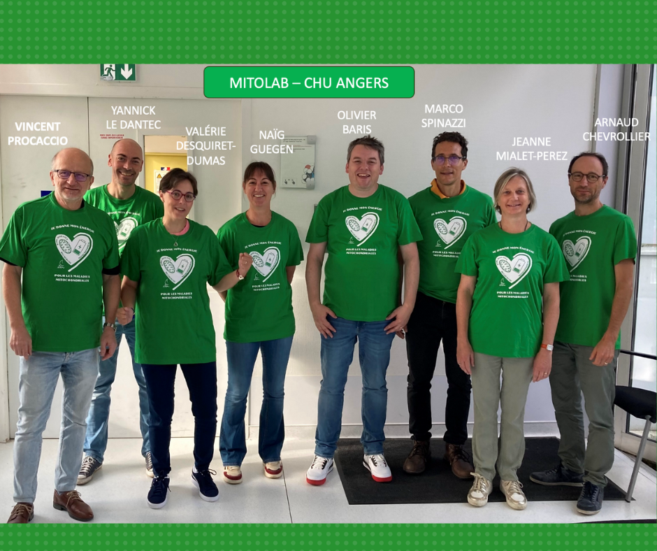 Researchers from CHA Angers